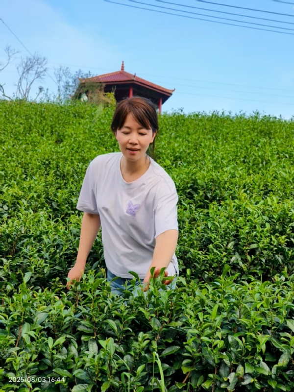 Q绮芳的第一张照片--宁化相亲网